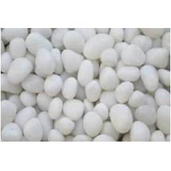 Pebble Stone Manufacturer Supplier Wholesale Exporter Importer Buyer Trader Retailer in Delhi Delhi India